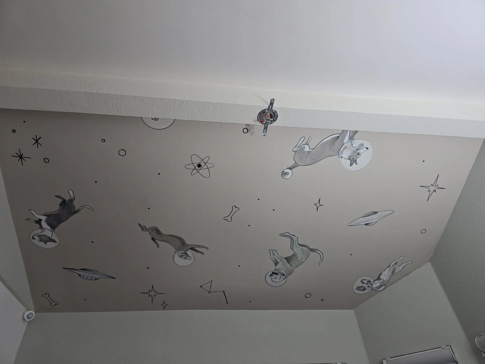 Professional wallpaper installer at work in San Francisco